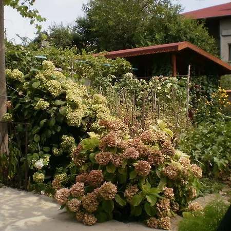 песента на морето Pensionat 3*