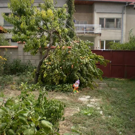 песента на морето Pensionat 3*