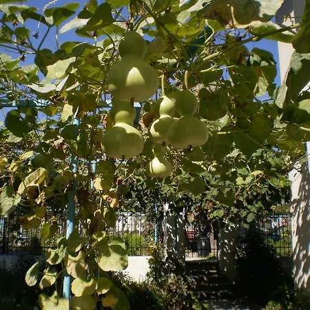 Pensionat песента на морето Obzor