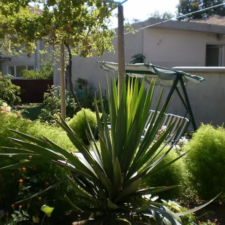 招待所 песента на морето