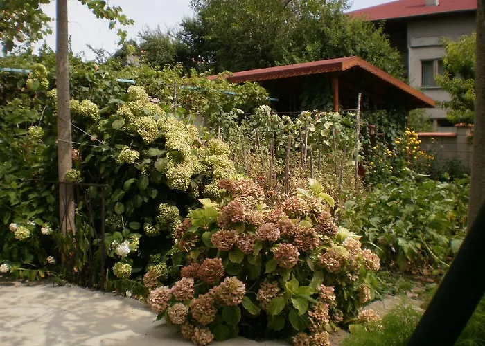 песента на морето 招待所 3*