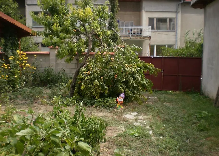 песента на морето 招待所 3*